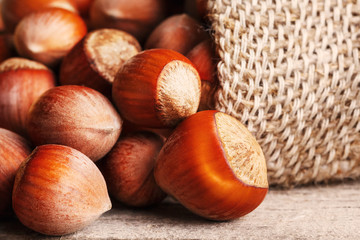 Hazelnut nut closeup poured out of the bag on a gray wooden table. Organic New Got. In a healthy vegetarian super food. Useful Growing protein and fats