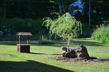 A landscape with a wishing well