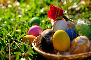 easter eggs in basket