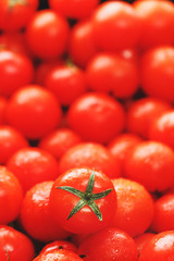 Lots of fresh ripe tomatoes with drops of dew. Close-up background with texture of red hearts with green tails. Fresh cherry tomatoes with green leaves. Background red tomatoes