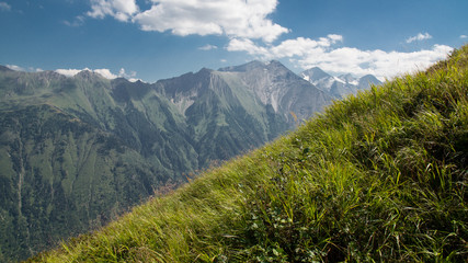 meadow in foreground hill peaks in background