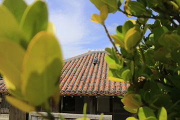 赤瓦のシーサー