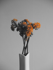 Blumenstrauß, schwarz weiß Fotografie mit orangefarbenem Akzent