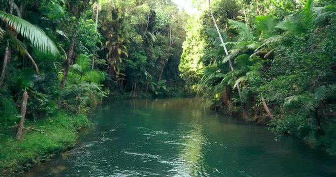 Moving across a river flowing calmly through the lush rainforest from right to left