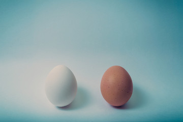 Two eggs on a white background, white and brown. Minimalism.
