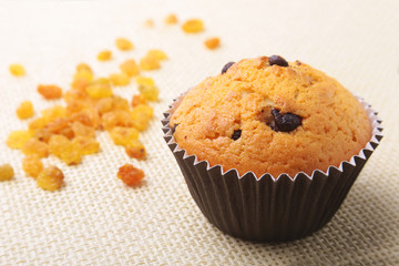 Cupcake, muffin with raisins and chocolate isolated on white background. Delicious homemade Muffins. Top view.