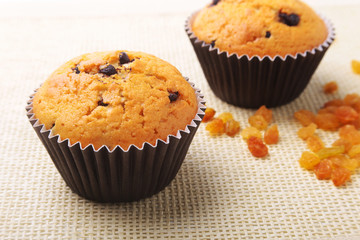 Cupcake, muffin with raisins and chocolate isolated on white background. Delicious homemade Muffins. Top view.