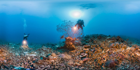 360 of diver in Red Sea © The Ocean Agency