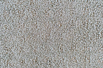 grey carpet texture