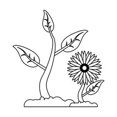 Naklejka premium Sunflower and plant growing plant in black and white