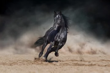 Fotobehang Paard Zwarte hengst loopt op woestijnstof tegen dramatische achtergrond