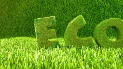 Letters on the green grass. Eco concept background.