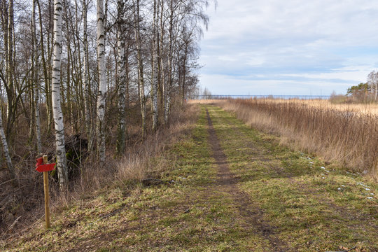 Footpath with signpost in a coastal landscape