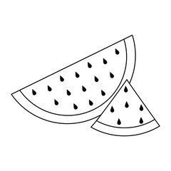 Watermelon fruit slices in black and white