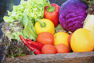 Fresh organic vegetables.