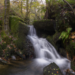 Fototapeta premium Zaćma między omszałymi skałami