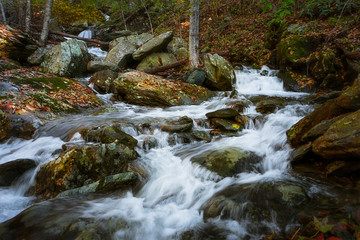 Fototapeta premium Cedar Run. Shenandoah National Park.