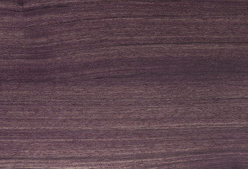 pattern detail of teak wood texture