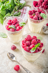 Panna cotta dessert with raspberry