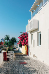 Oia town old street in Santorini island, Greece