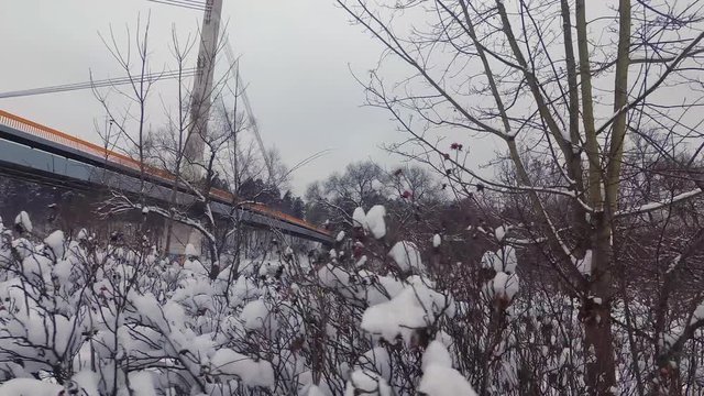 Artful shot of yellow bridge, icy river, and trees, bushes, snow berries  covered in snow.