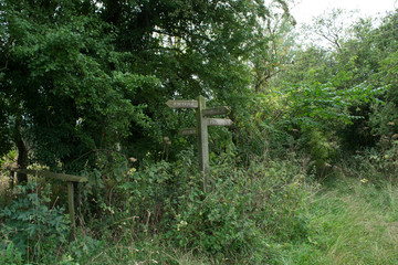 Footpath - Which way?