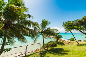 Colorful shore in La Datcha beach in Guadeloupe