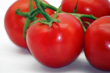Rote Tomaten freigestellt auf neutralem Hintergrund