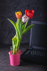Bouquet of colorful flowers of tulips on a dark background. Perfect spring gift for women
