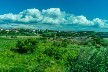 Obraz premium Italy,Florence to Pisa Train, a close up of a lush green field