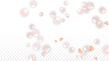Vector Realistic Petals and Hearts Confetti. Flying Sakura and Hearts on Transparent Background. Wedding Invitation Background. Spring Romance Poster. Vector Illustration for Anniversary Design.