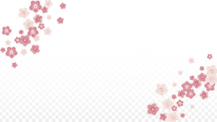 Vector Realistic Pink Flowers Falling on Transparent Background.  Spring Romantic Flowers Illustration. Flying Petals. Sakura Spa Design. Blossom Confetti. Design Elements for Wedding Decoration.