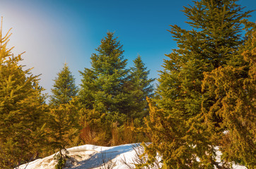 Parc naturel régional des Pyrénées Catalane depuis le Col de Jau,Occitanie.
