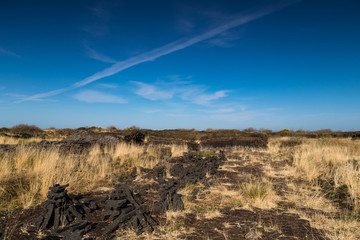 Cultivated peat bog bricks stacked for drying in rural Irish landscape