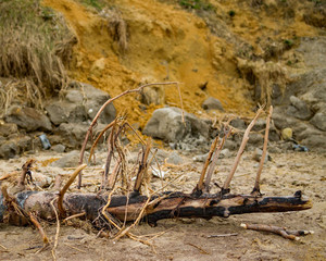 Cliff erosion on the Norfolk beach of Trimingham