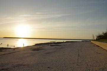 Sandy beach sunset