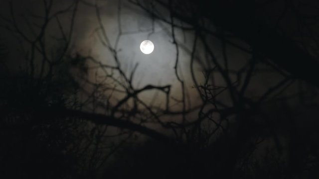 Rack focus to a spooky full moon on a foggy night