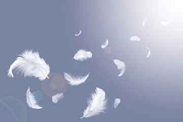 White feathers float in the air.