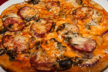 Cooking homemade pizza with herbs close-up in a slow cooker