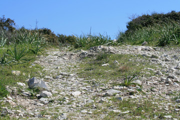 Stone pathway in the mountains