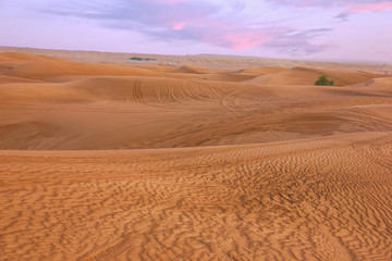 Sand desert sunset view, Dubai, United Arab Emirates