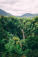 waterfall from afar in rainforest