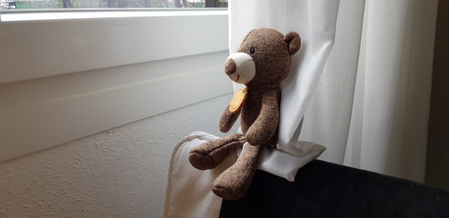 Teddy bear in front of the window