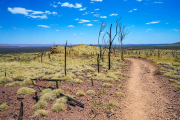 hiking on mount bruce in karijini national park, western australia 98
