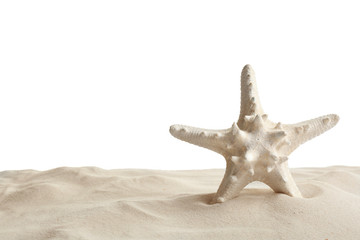 Fototapeta na wymiar Sea star in beach sand on white background, space for text