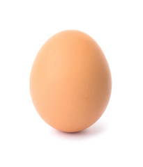 One brown chicken egg on white background