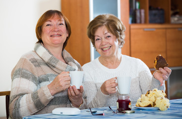 Happy mature women drinking tea and chatting