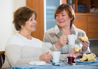Positive female pensioners drinking coffee and chatting
