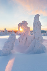 Panoramic view of beautiful winter wonderland scenery in scenic golden evening light at sunset with clouds in Scandinavia, northern Europe Colorful winter sunrise in mountains. Christmas time concept 