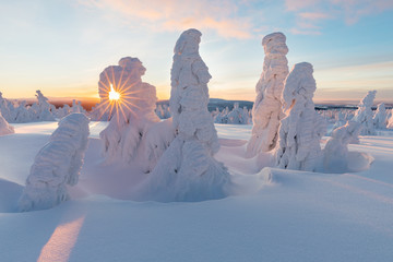 Panoramic view of beautiful winter wonderland scenery in scenic golden evening light at sunset with...